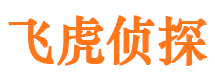 长兴侦探公司